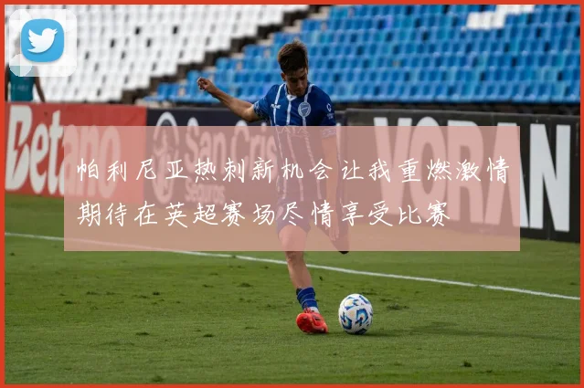 帕利尼亚热刺新机会让我重燃激情期待在英超赛场尽情享受比赛