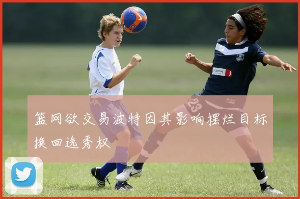 篮网欲交易波特因其影响摆烂目标换回选秀权