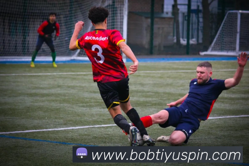 BOB体育APP 封面图